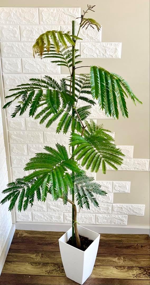 エバーフレッシュ 140cm 曲がり